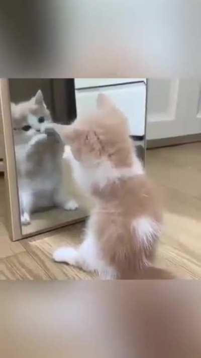 Fighting with myself