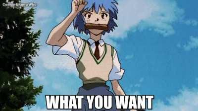 Rei Ayanami's Gotta Go Get It