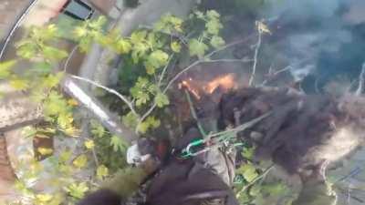 Guy cutting tree gets BURNED. Entire Tree Catches on FIRE while cutting it in the air.