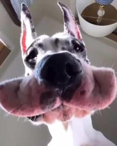 a pleasant reality...