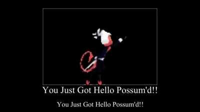 Hello Possums