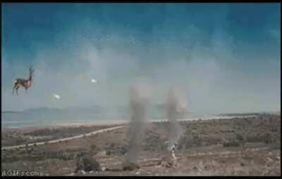 I’m 15 and this is yeet