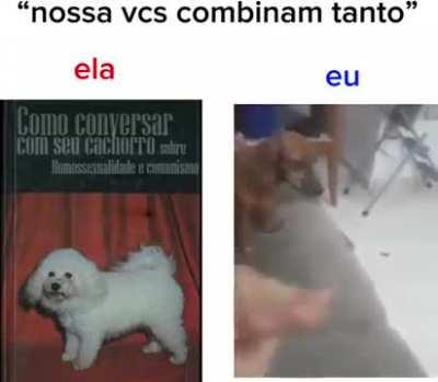 Eu_nvr