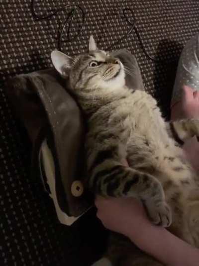 Массаж для Котика