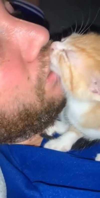 If you fall asleep with a hungry kitten.