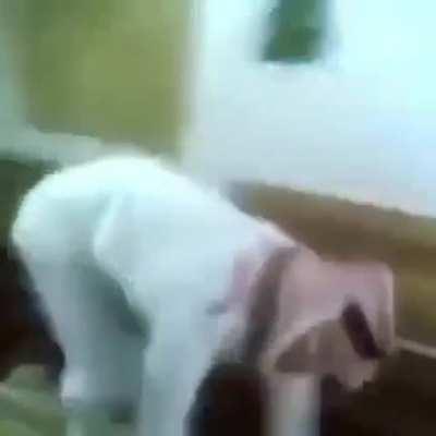 cuiku cuiku cuiku cuiku cuiku