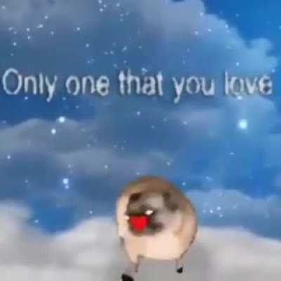 Life Could be a dream