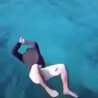 Late 🤓👉🦈=😨