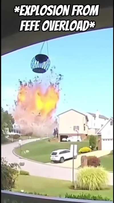 It’s good to be overstimulated on FeFe, no?