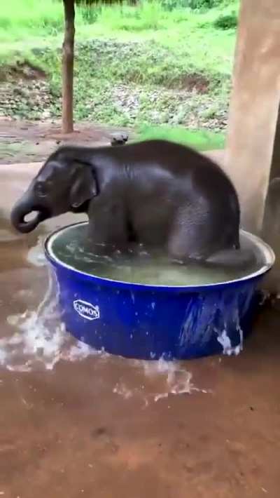 This is my favorite video on the internet