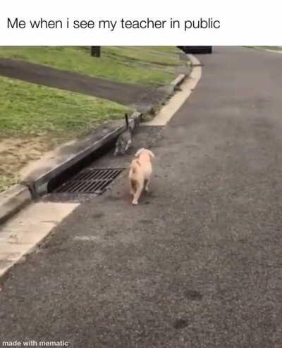 please don’t see me