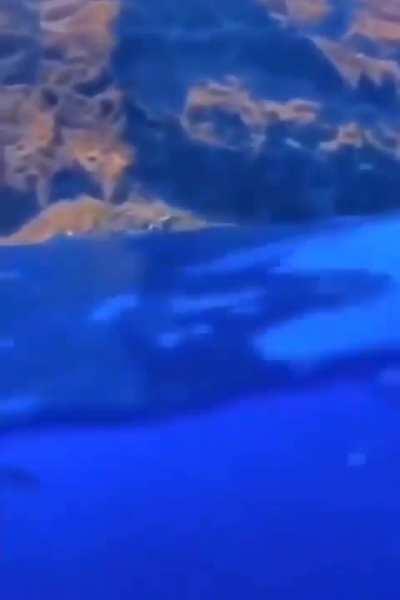 the water is very good for a dip