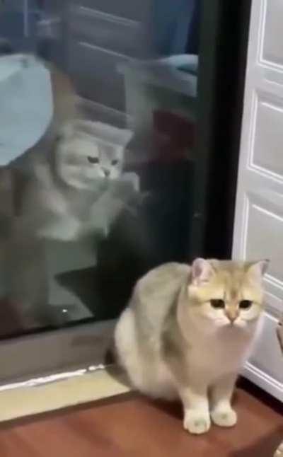 He's behind me and doing it again isn't he?