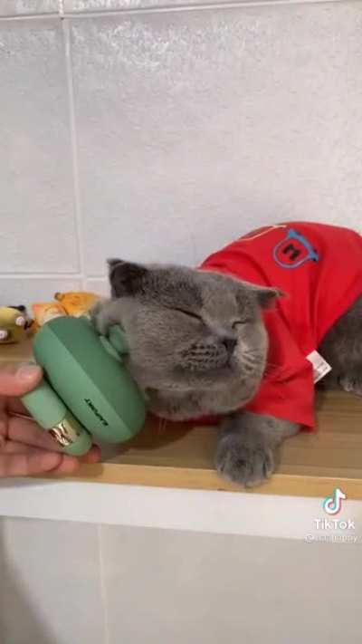 Electric brushy brushy