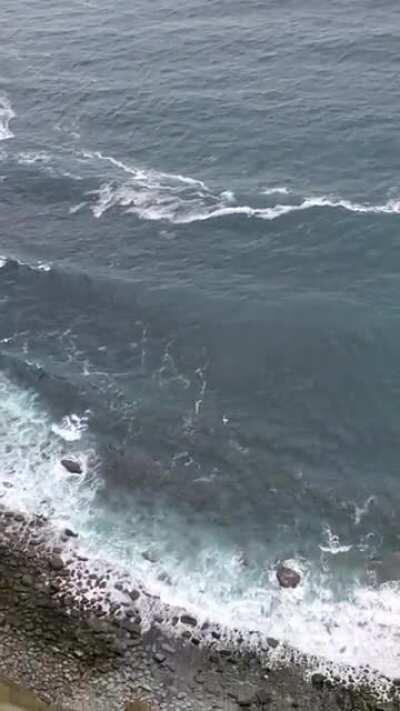 Cliffs of Moher, Ireland. 155 m (509 ft) vertical drop.