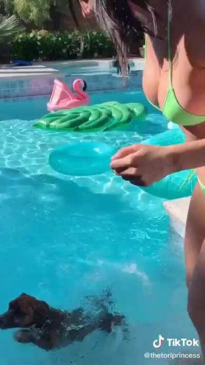 Believe it or not there is a cute little doggie in the video