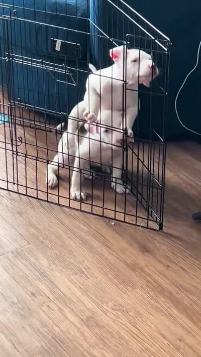 Let's work together to succeed!