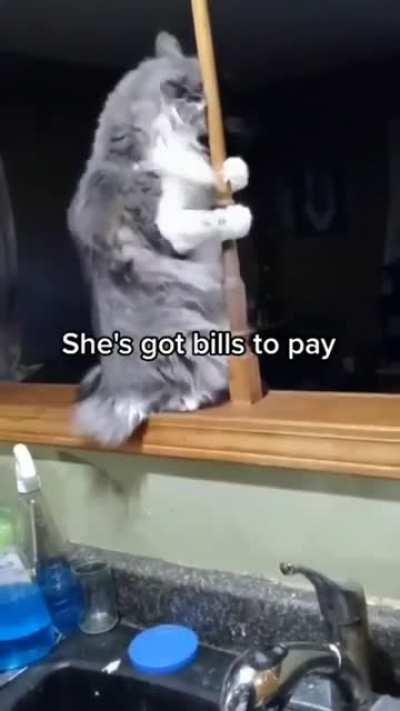 She works hard for the money