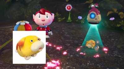 Pikmin stupidity summarized 