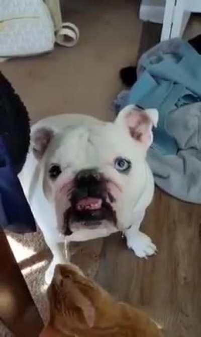 Yummy yummy in my tummy!