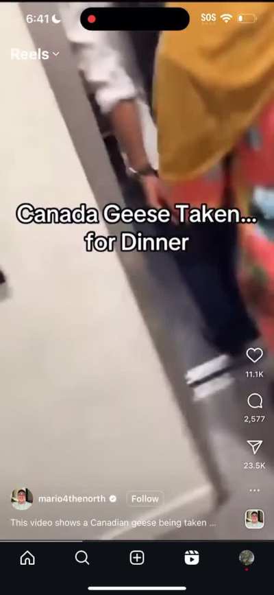 We are fucking tired of these Damm Indians this is the final straw!!!!!!🤬🤬🤬🤬