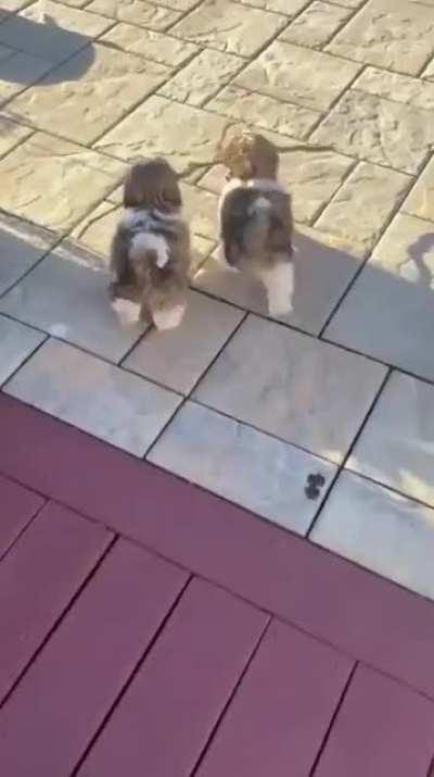 Branch manager and assistant branch manager