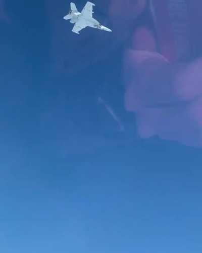 EA-18G Maneuver (@ig_swifftea)