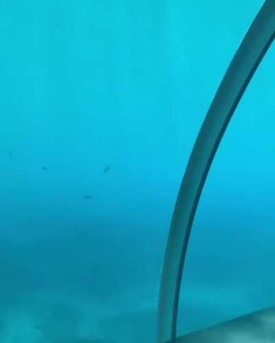 Who's spending the night?