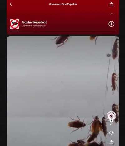 Go follow this artist man 🔥🔥🔥fire music