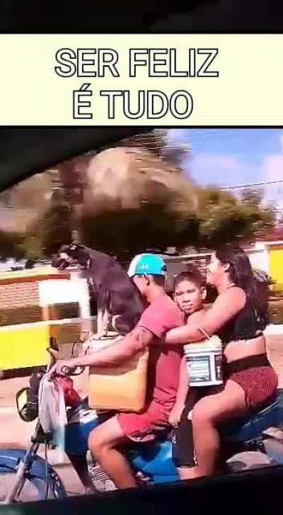 The whole family went for a bike ride (including the 🐶)