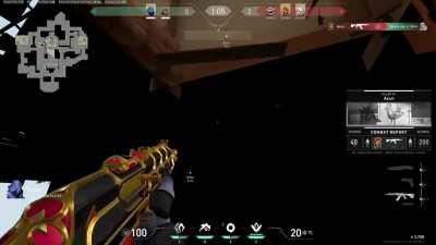 Omen and Sage glitching Haven