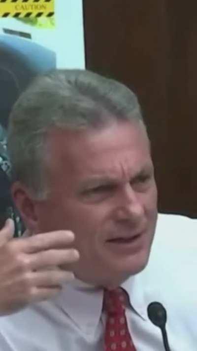 Congress at the TikTok hearing