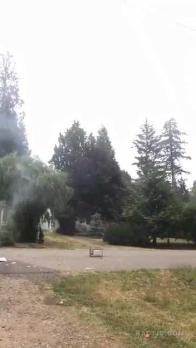 Microwaves and fireworks don't mix. Here's the proof.