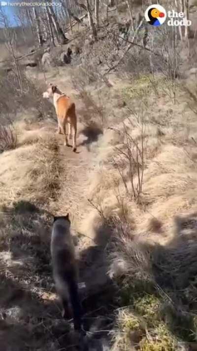 We are going on an adventure