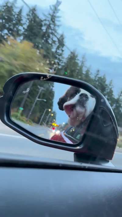 Ok. Now I understand why people laugh/smile 😂 big flappers