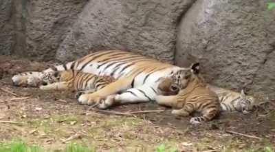Giving mom a kiss before bedtime 🥺