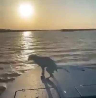 The sunset is just so beautiful and then