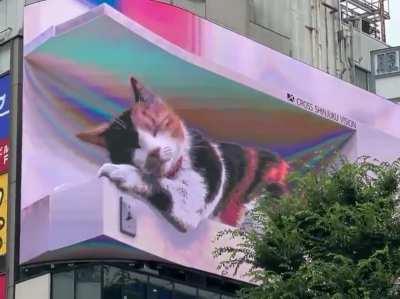 Uma tela com um gato perto de uma estação em Shinjuku, em Tóquio.