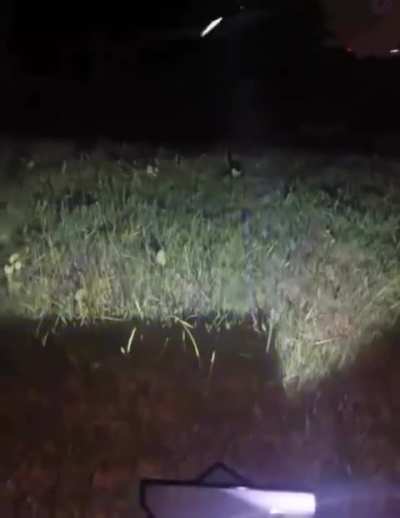 This guy built a Mosquito Air Defense System.