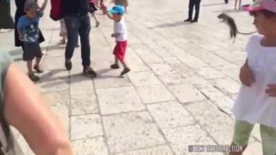 Just kicking a rat, WCGW?