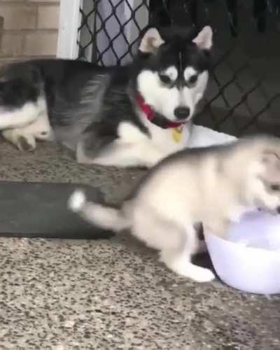 This kid will definitely be crazier than his mother XD