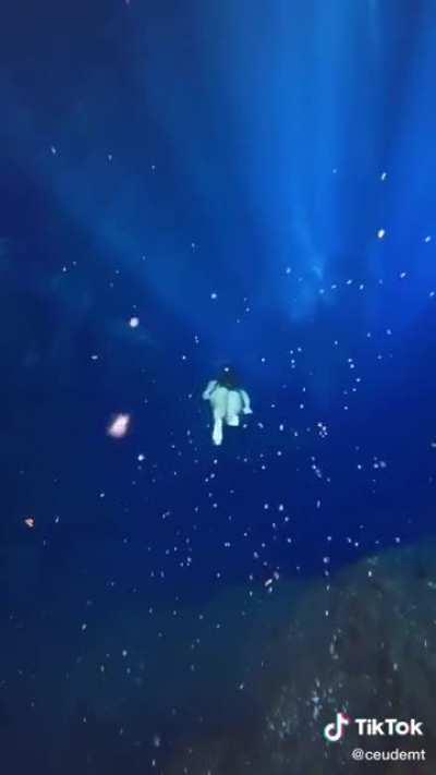 Dayane Damm (@daydamm)