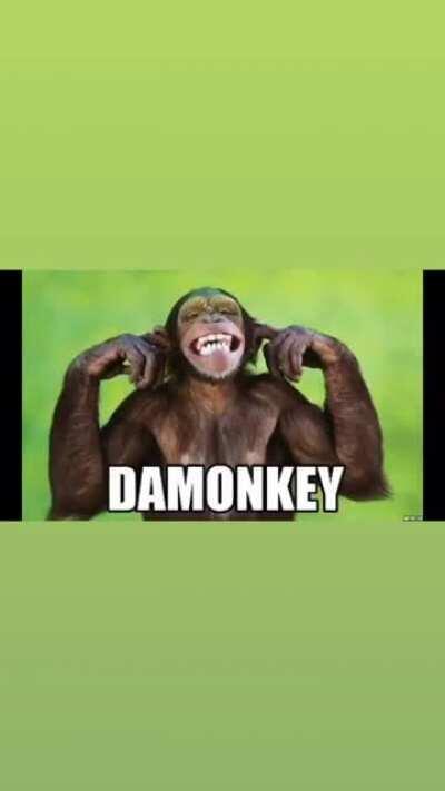 da monke🥵