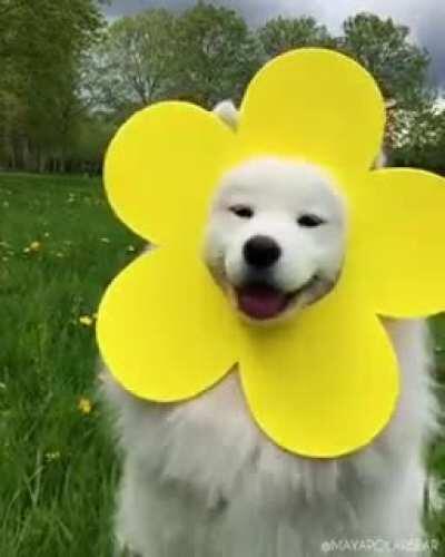 Floof make you unsad