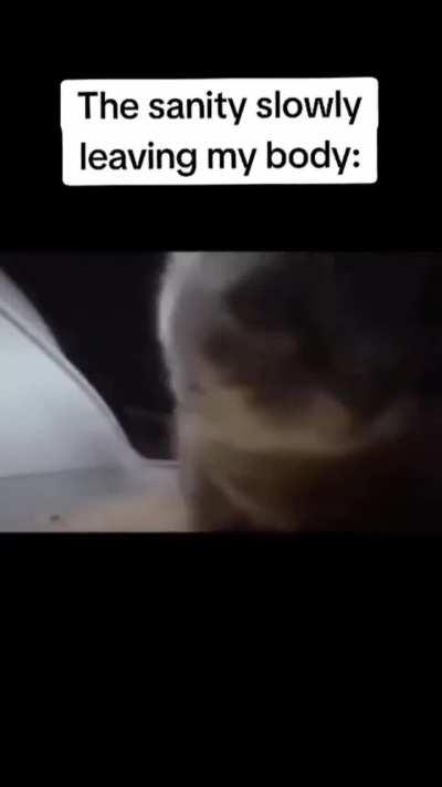 Pls stoo with this song 