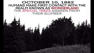 a special Wonderland