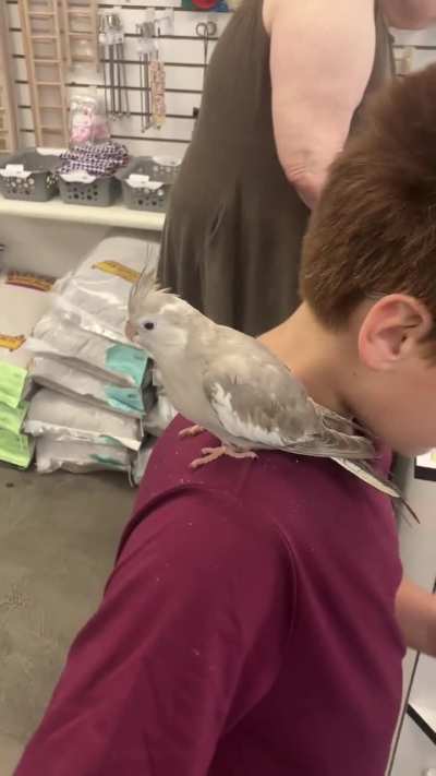 My little boys dream came true today. He put a deposit down on the bird he bonded with.