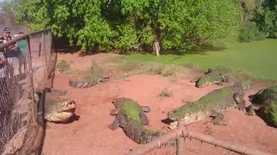 Dude atleast look what you're eating