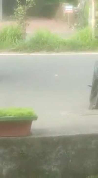 Junky Believes He is The Hulk.