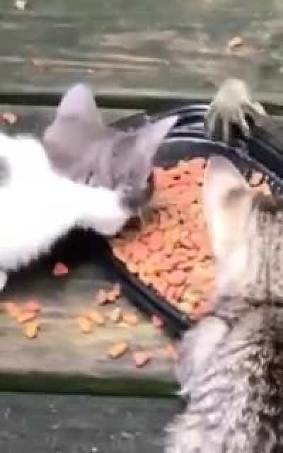 Our hands are not for boredom